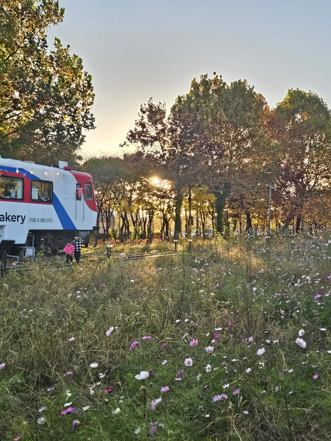 Ansan Youth Center Sangsang Station photo 28