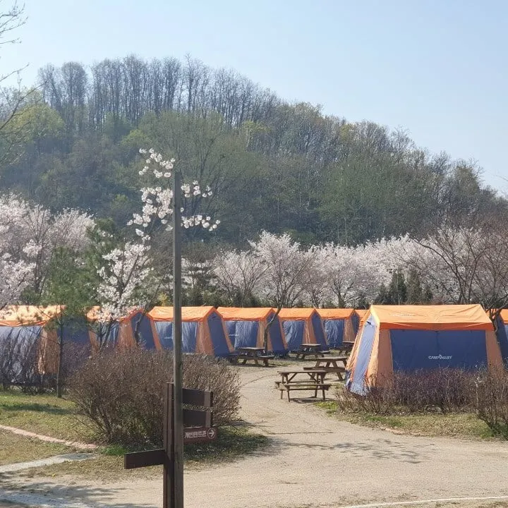 인천대공원 캠핑장 사진 7