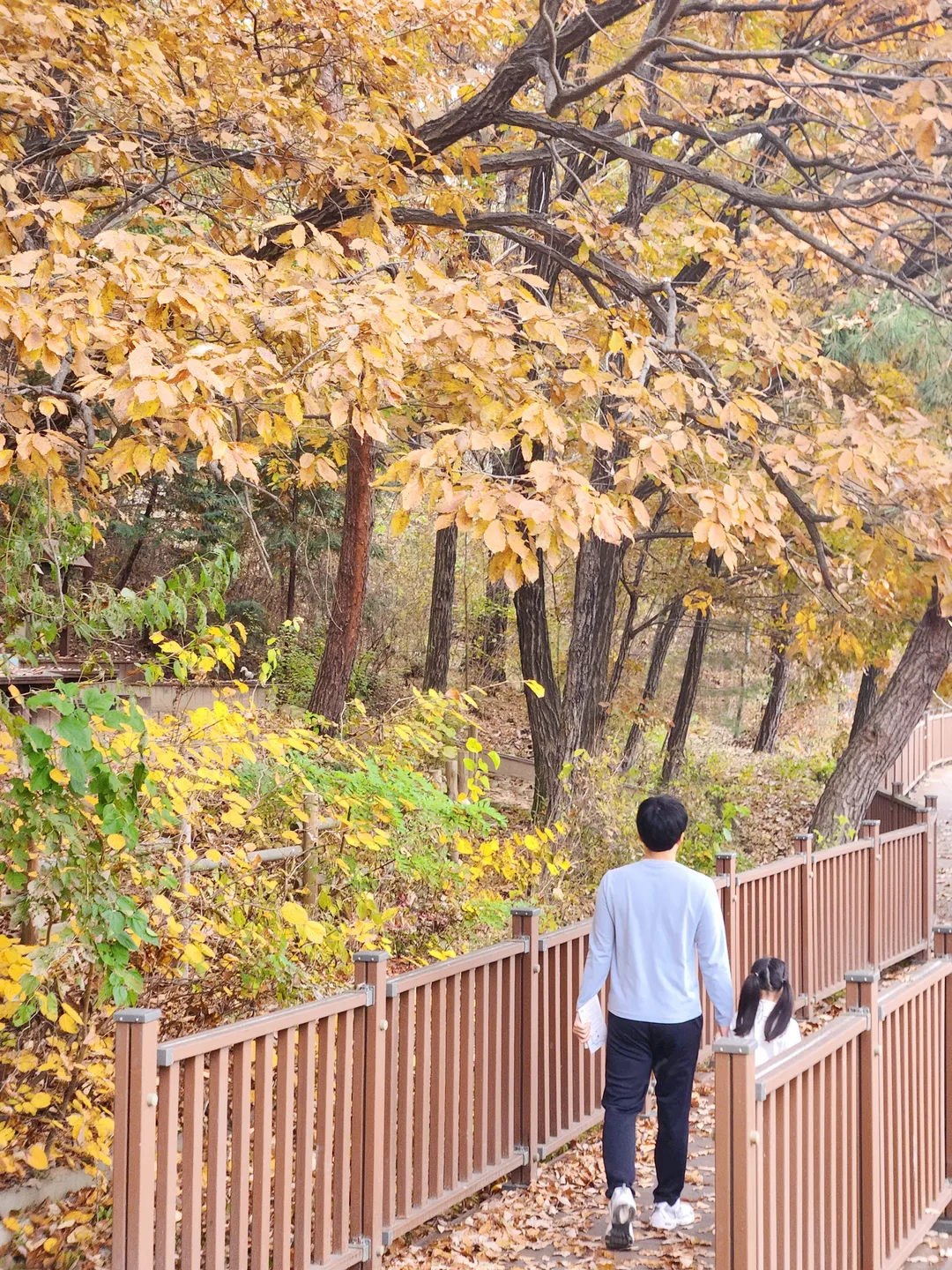 황학산수목원 사진 8