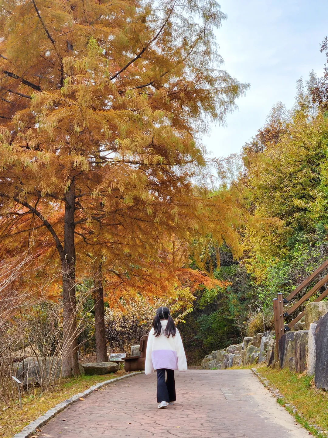 황학산수목원 사진 7
