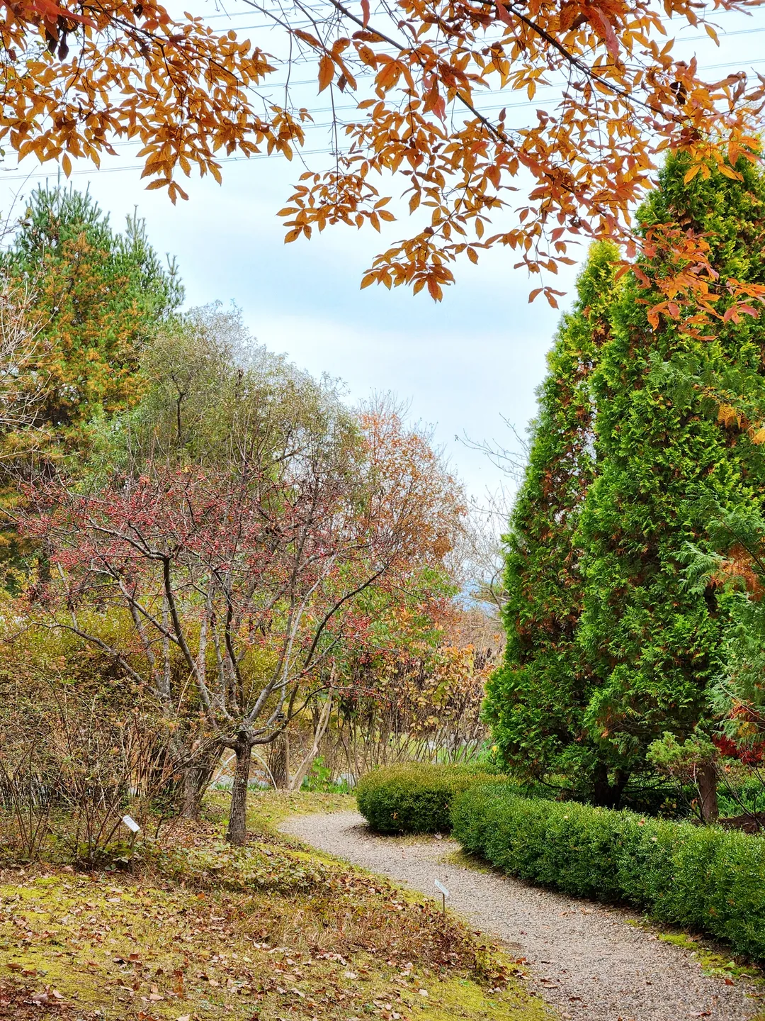 황학산수목원 사진 6