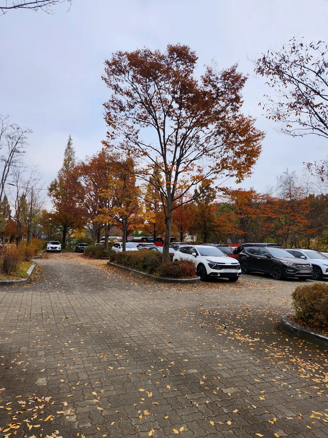 황학산수목원 사진 17