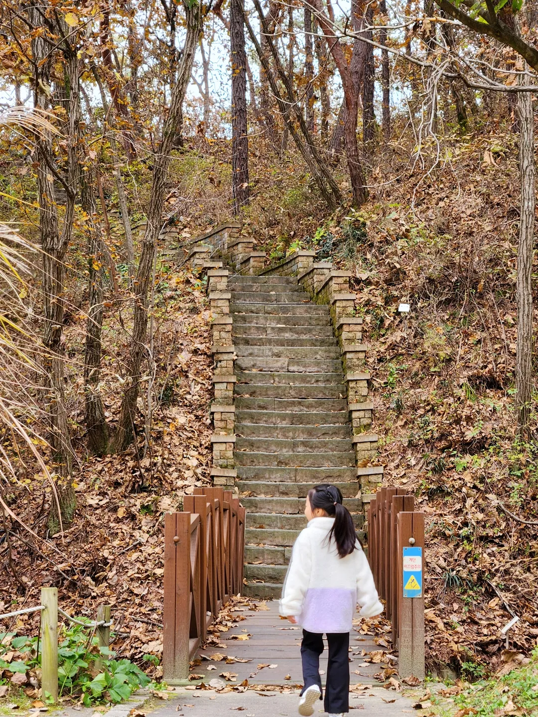 황학산수목원 사진 12