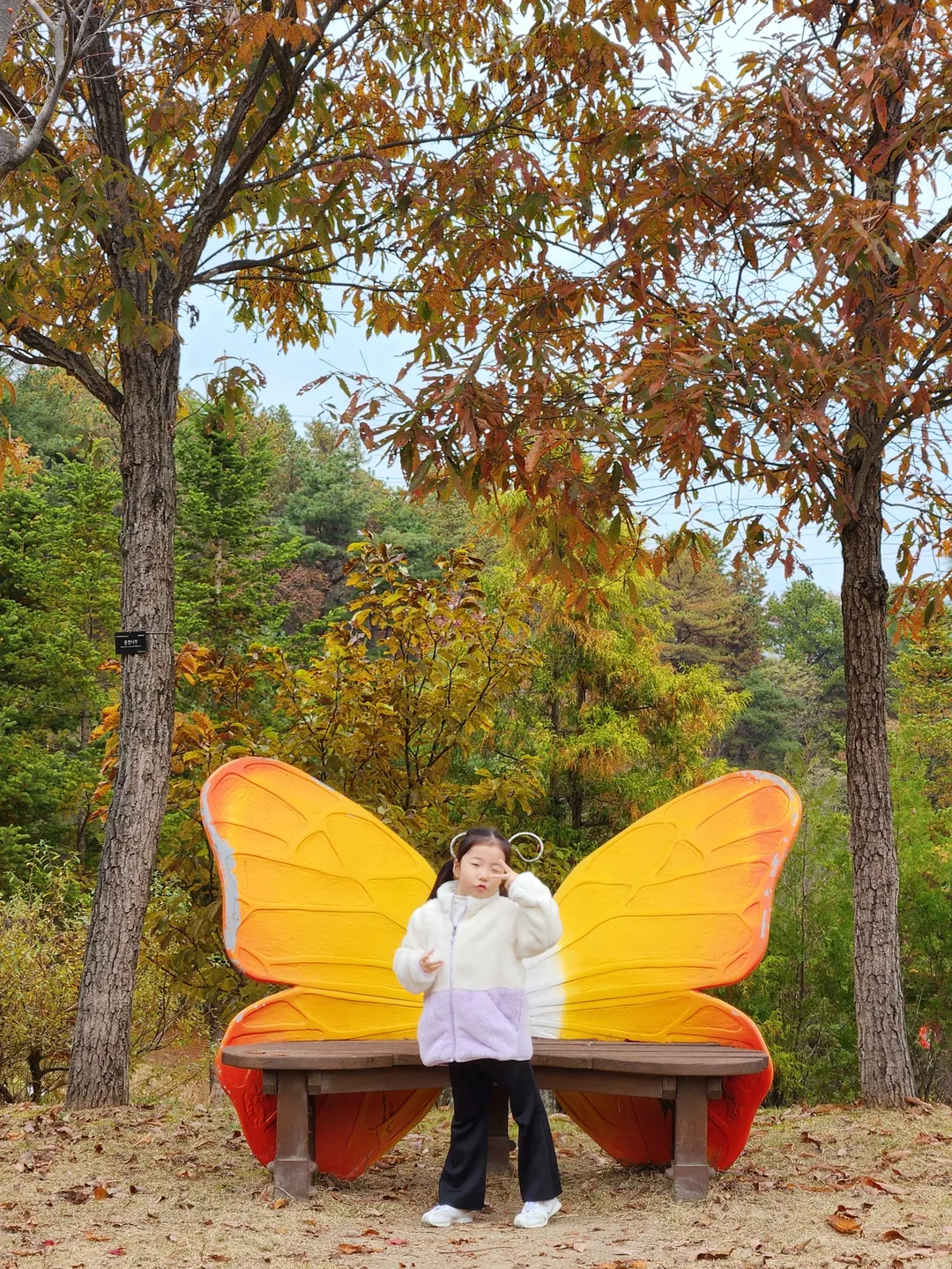 황학산수목원 사진 11