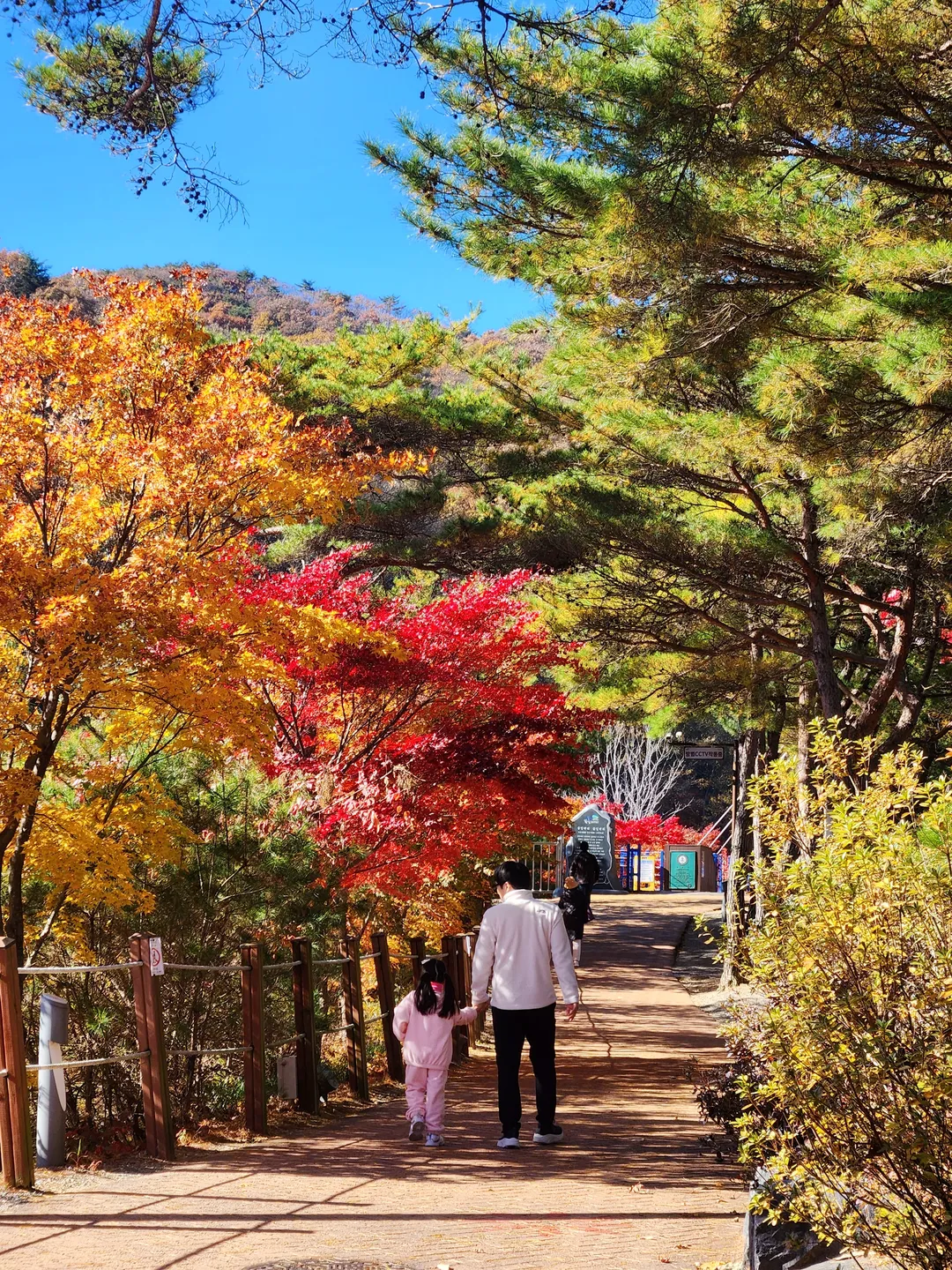 천장호출렁다리 사진 18