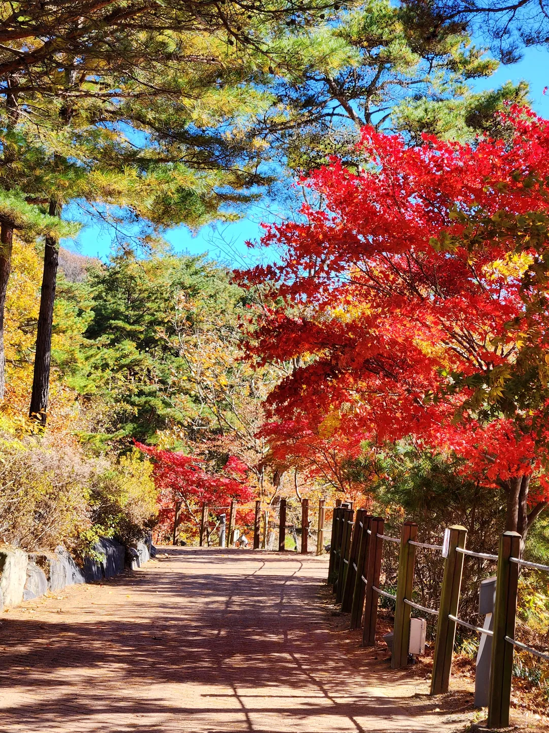 천장호출렁다리 사진 16