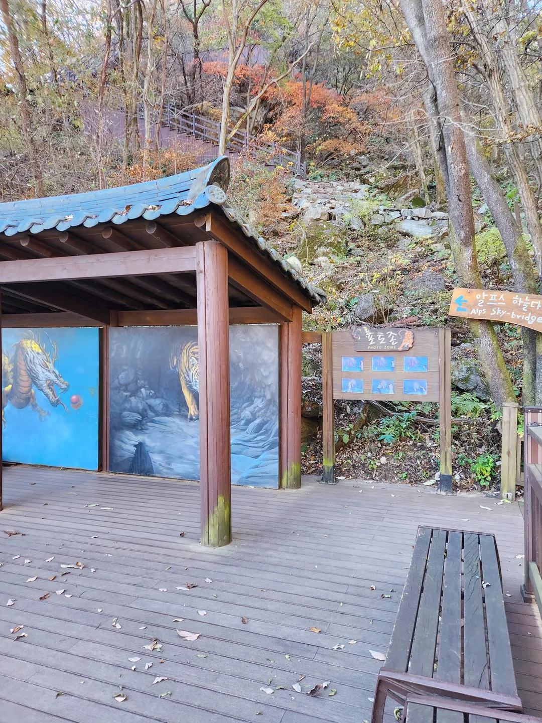 천장호출렁다리 사진 13