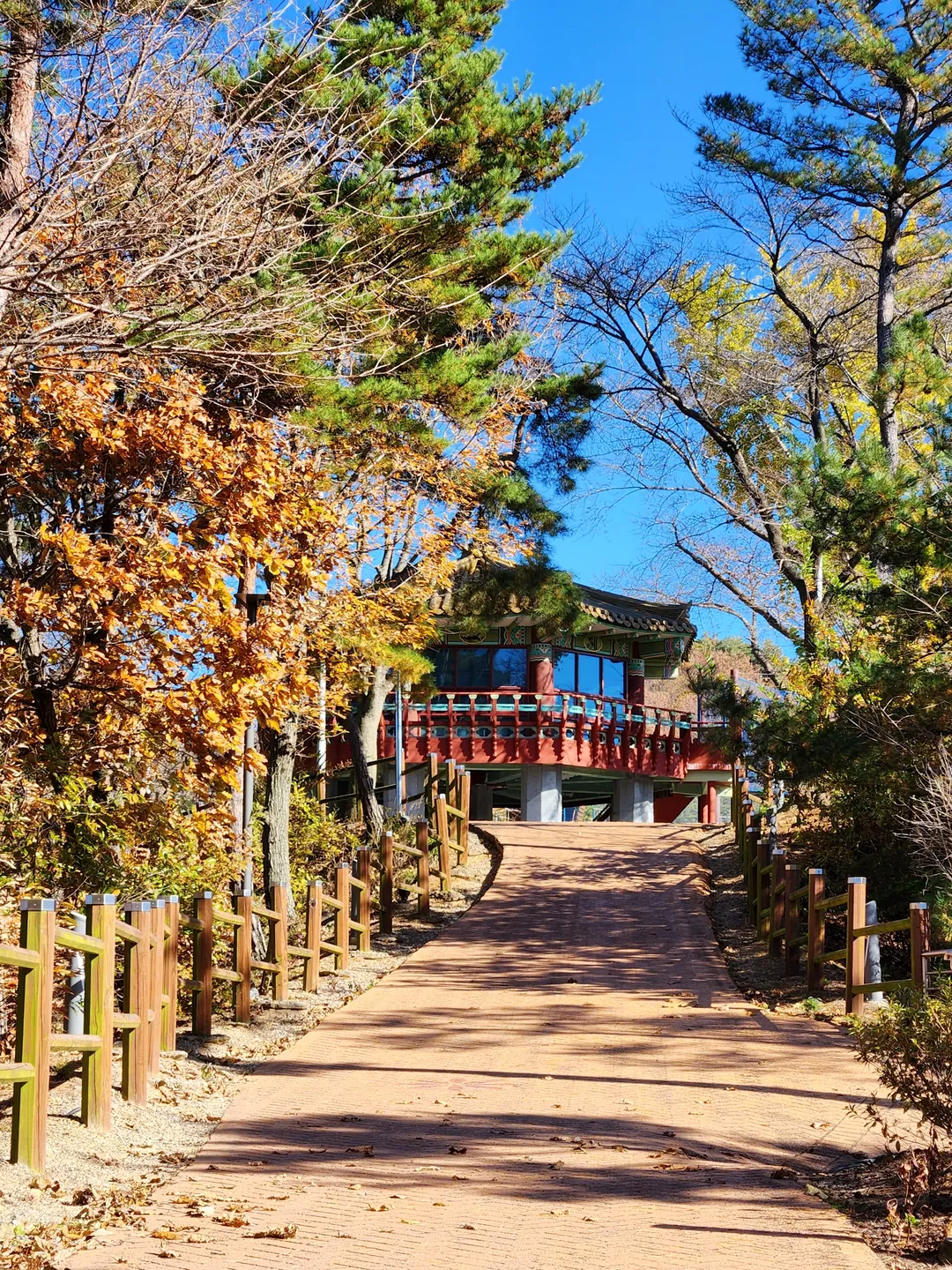천장호출렁다리 사진 19