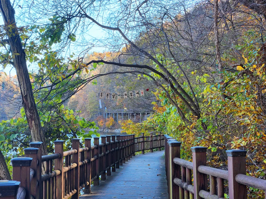 천장호출렁다리 사진 12