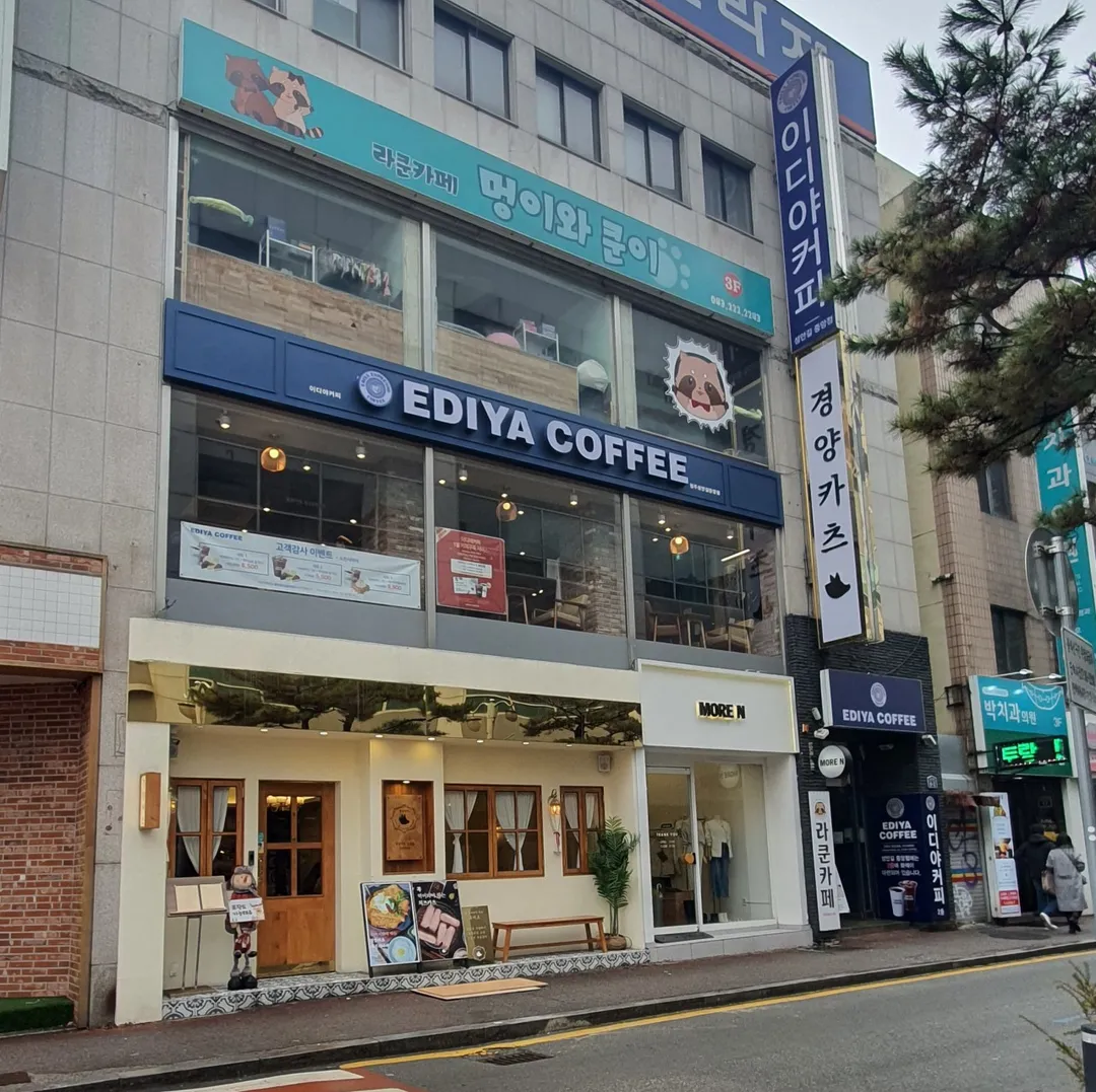 멍이와쿤이 미어캣 라쿤카페 사진 22