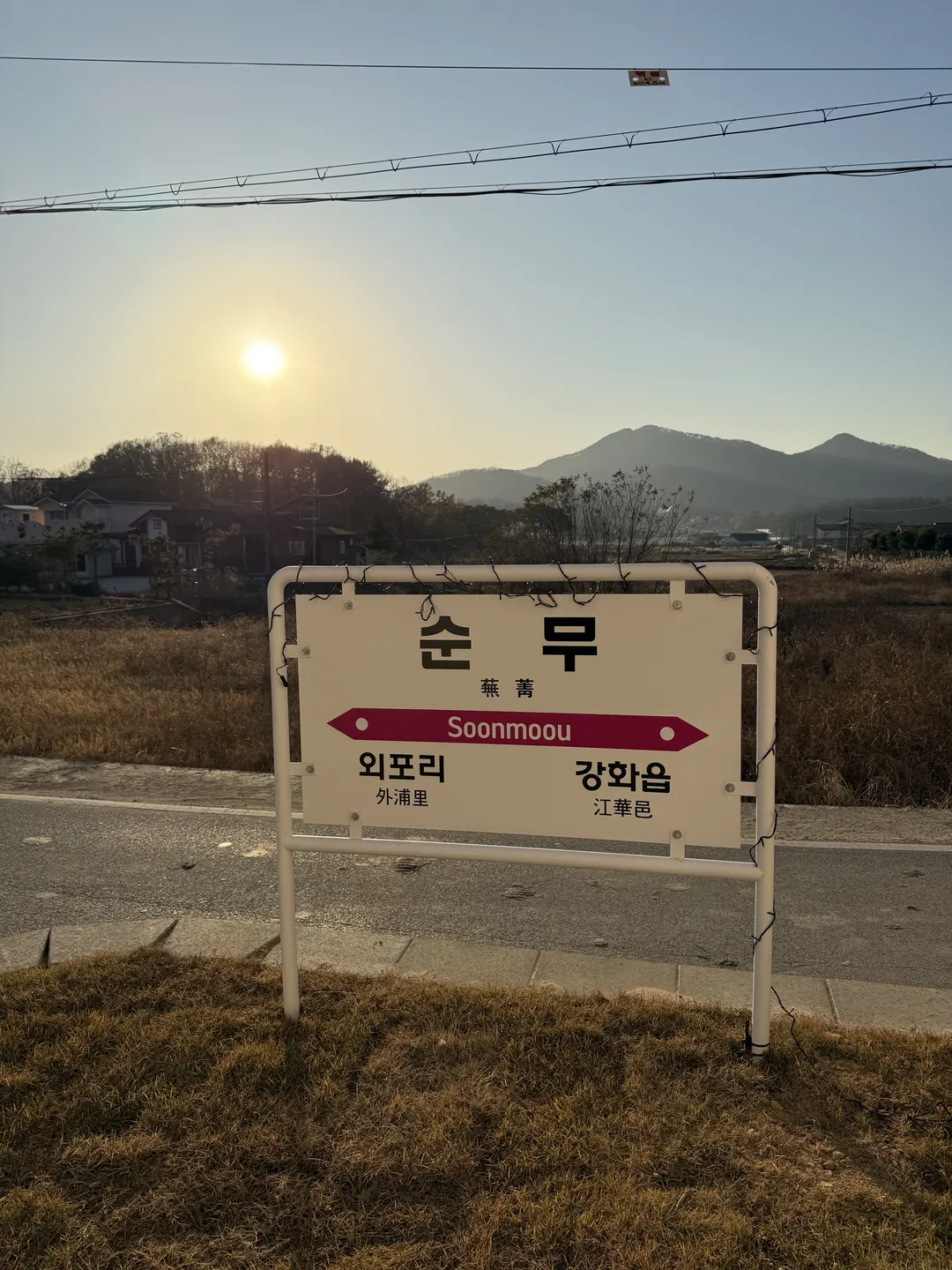 순무 사진 29