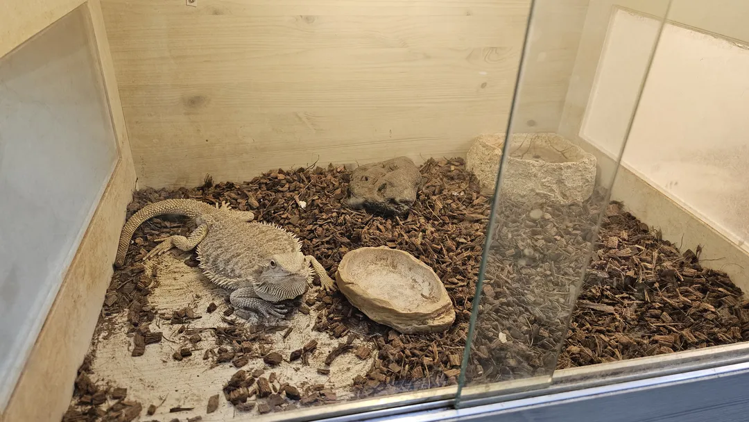 Central Insect Ecology Farm photo 8