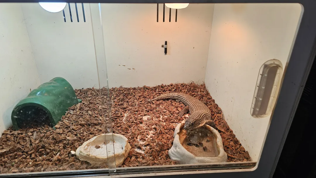 Central Insect Ecology Farm photo 9