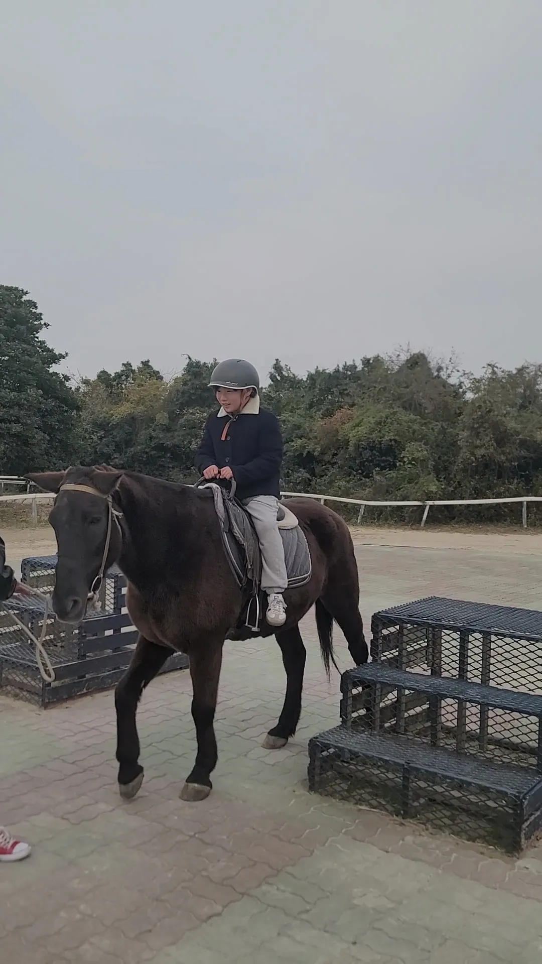 더마파크