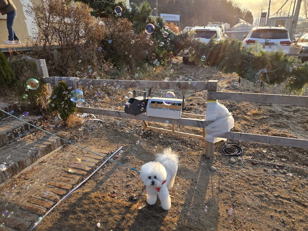 투하츠 베이커리 사진 50