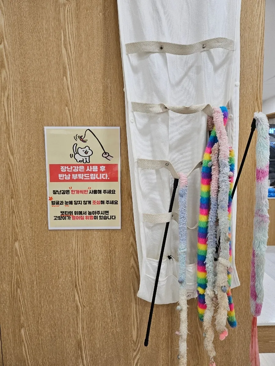 캣플헤븐 천안불당점 사진 9