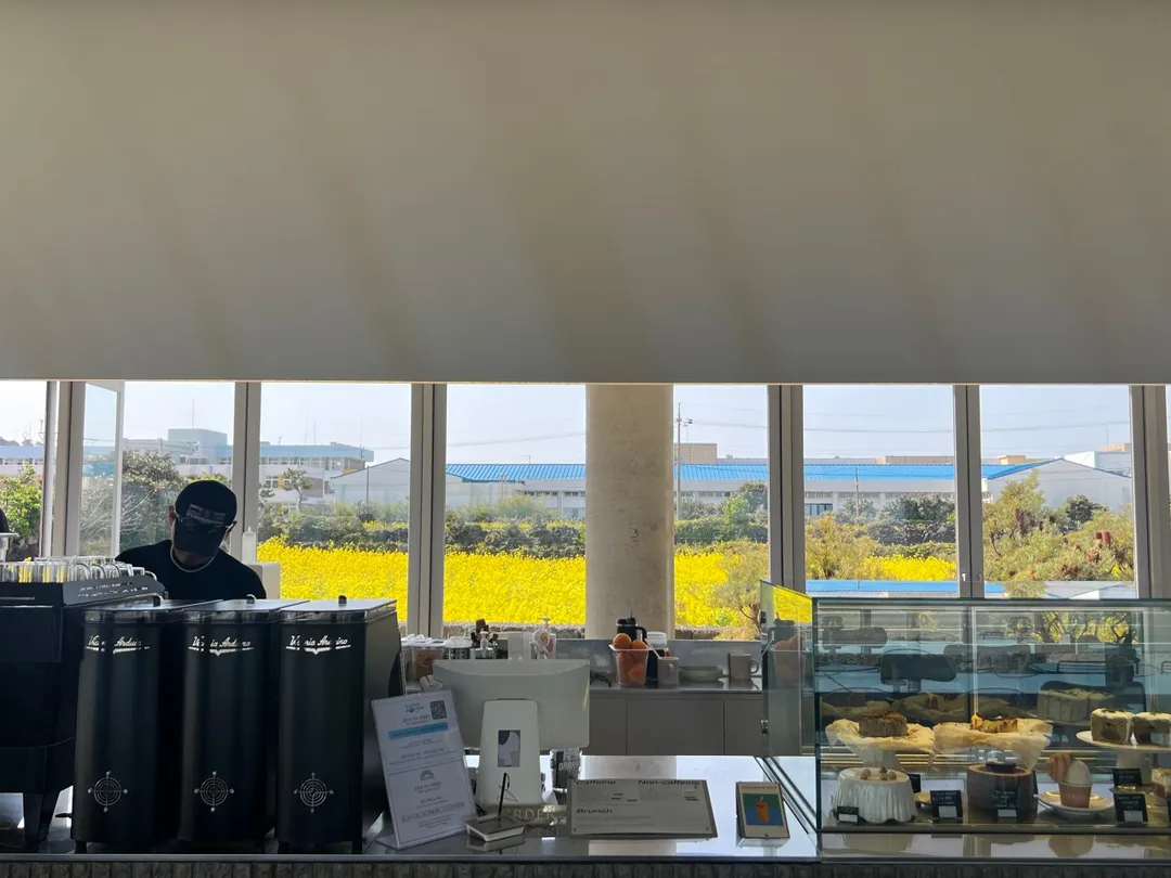 오른 사진 11