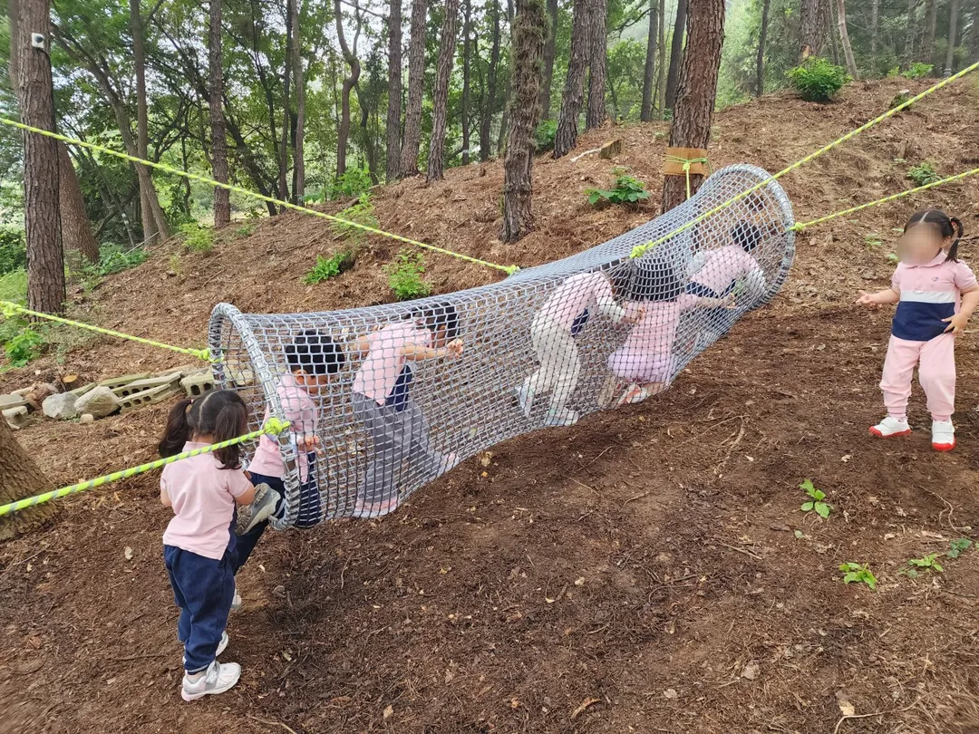 자라나다 사진 7