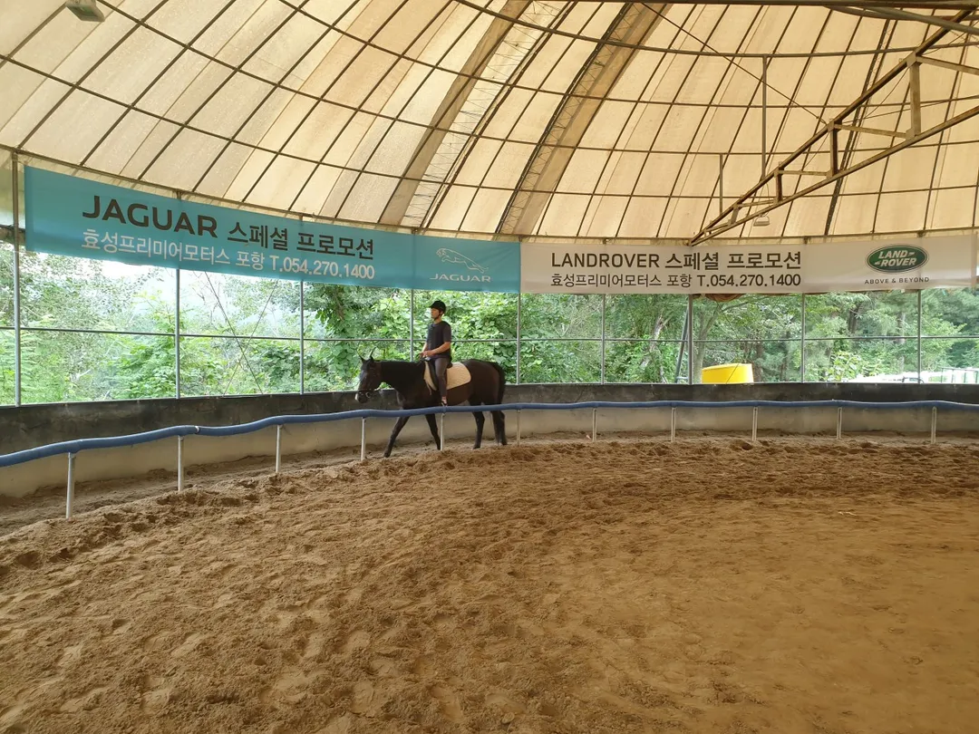 포항동해승마장