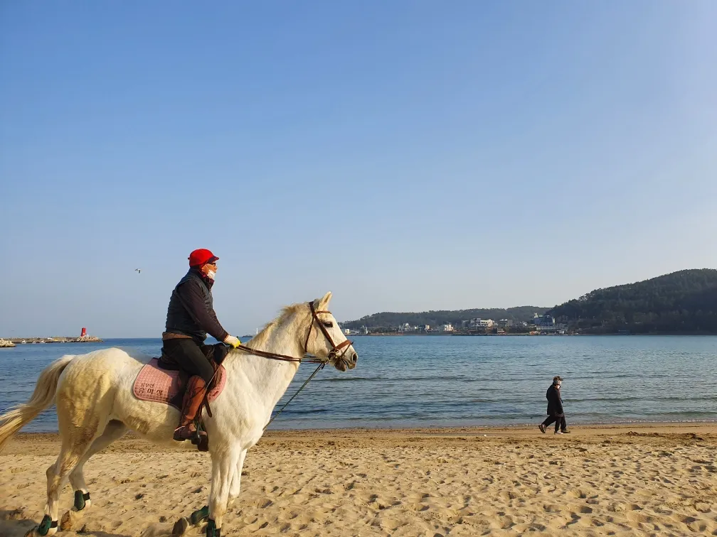 동부산승마장