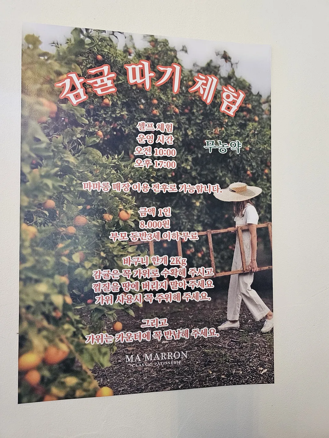 마마롱 사진 11