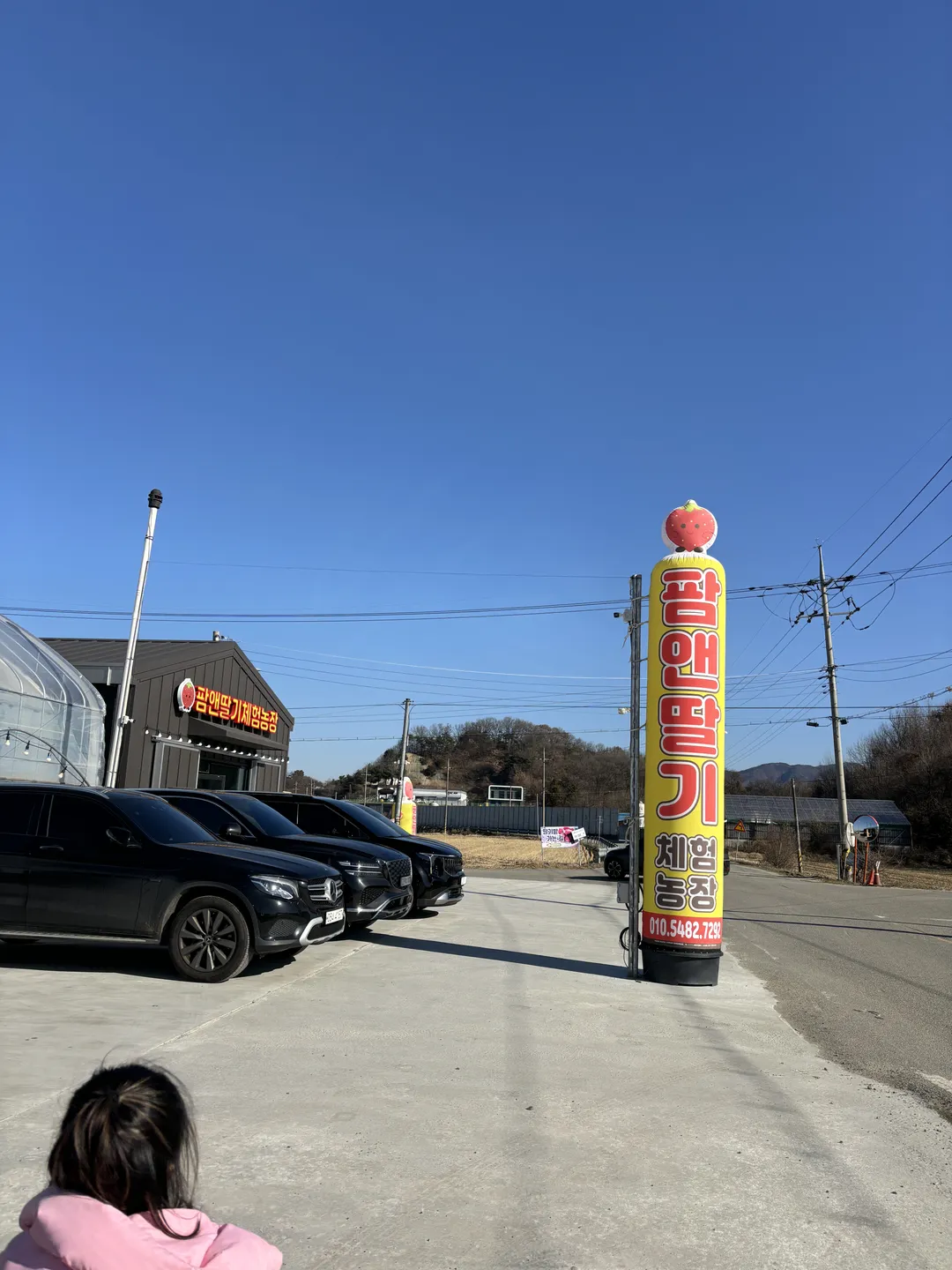 팜앤딸기 사진 13