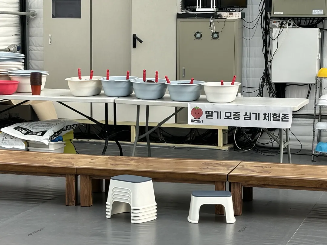 팜앤딸기