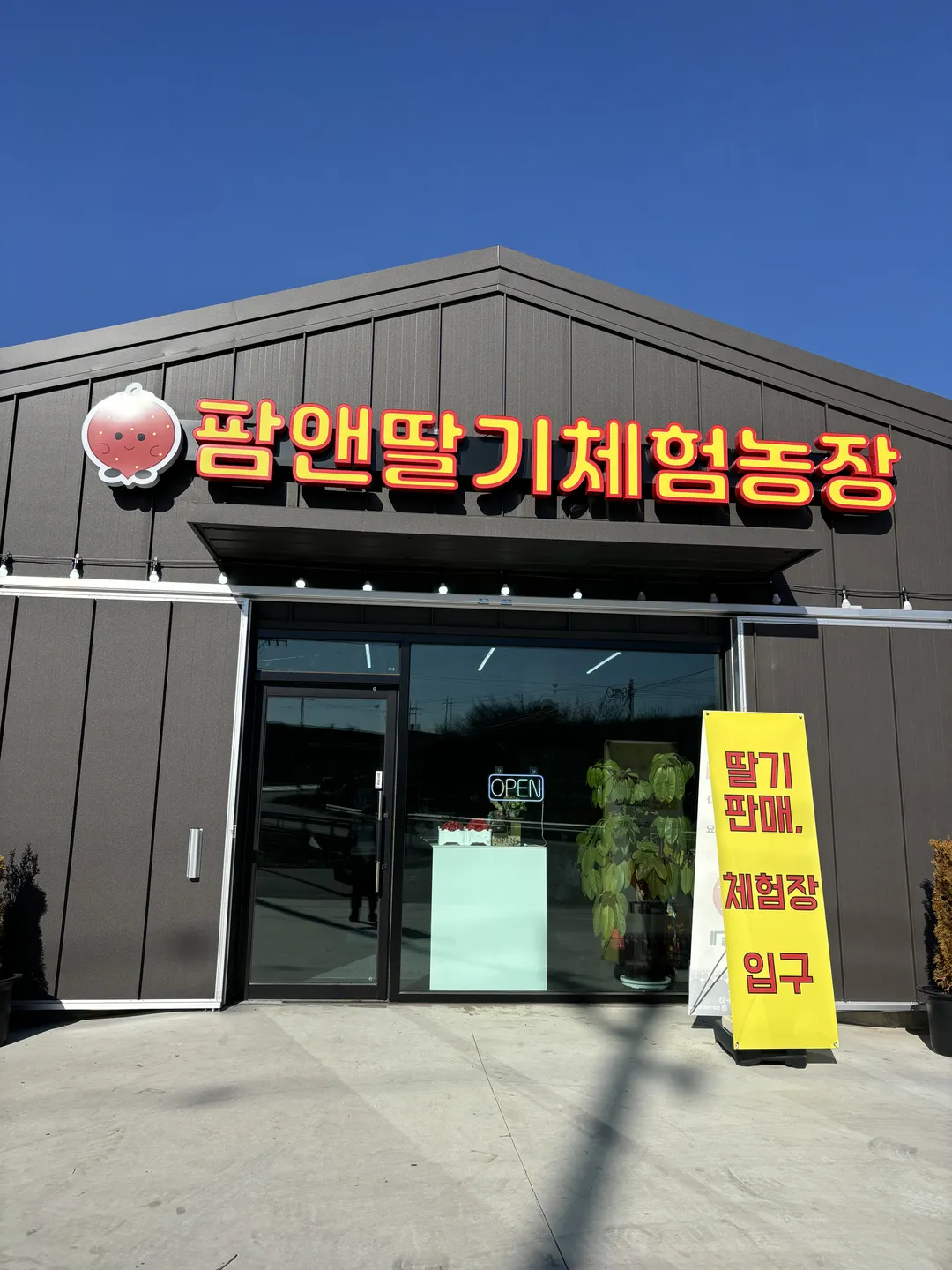 팜앤딸기 사진 12