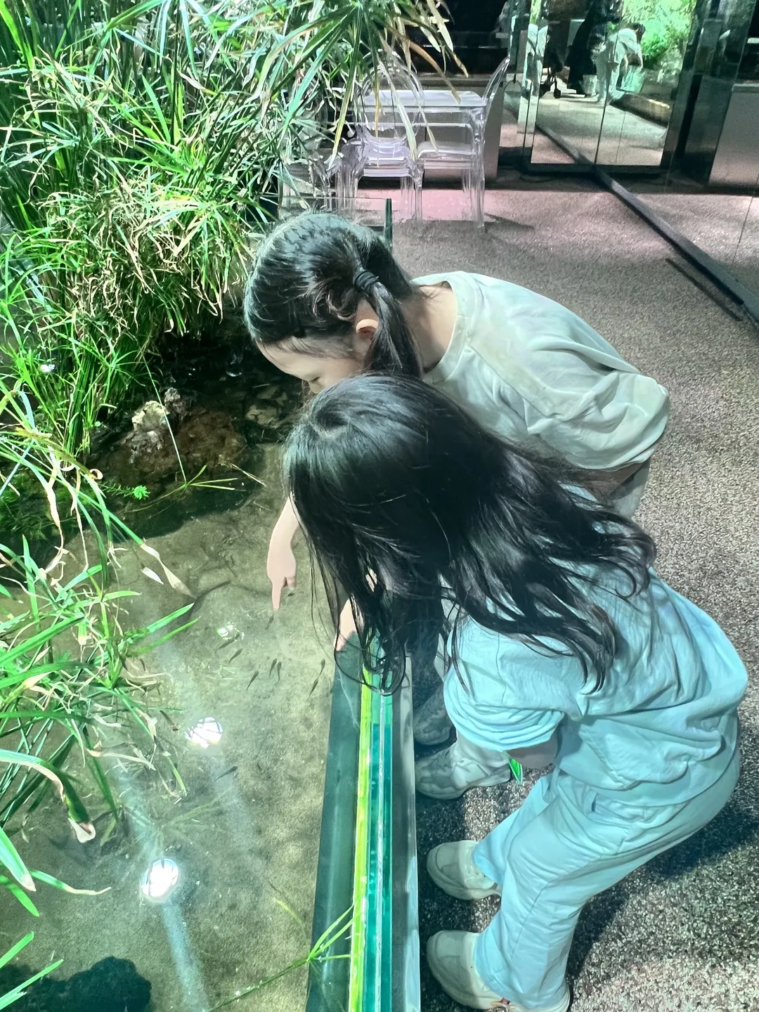 오렌지아쿠아 사진 12