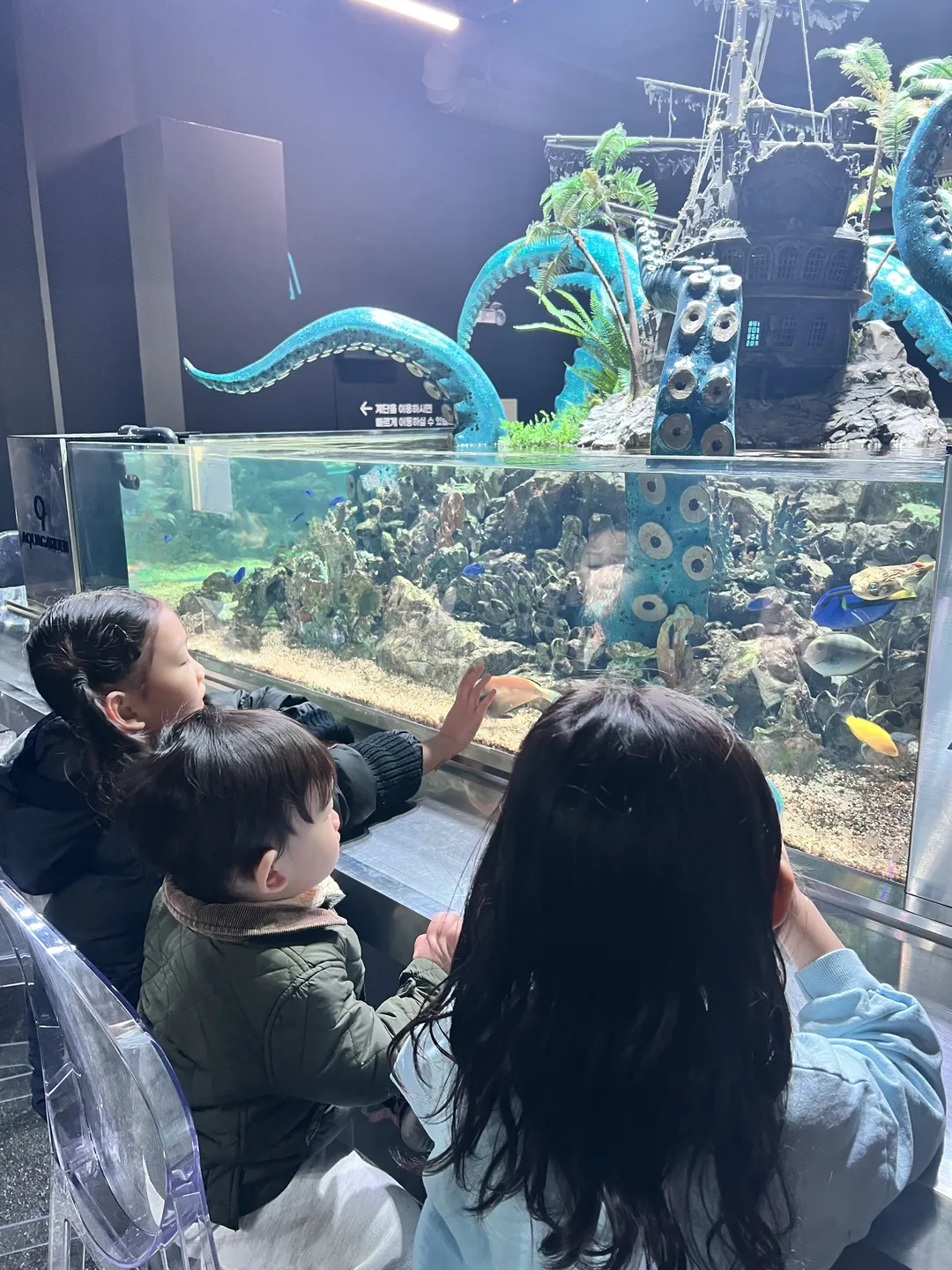 오렌지아쿠아 사진 9