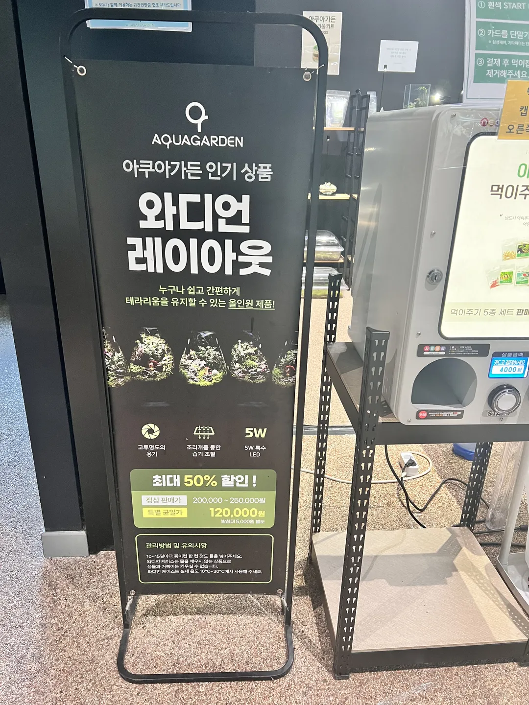 오렌지아쿠아 사진 15