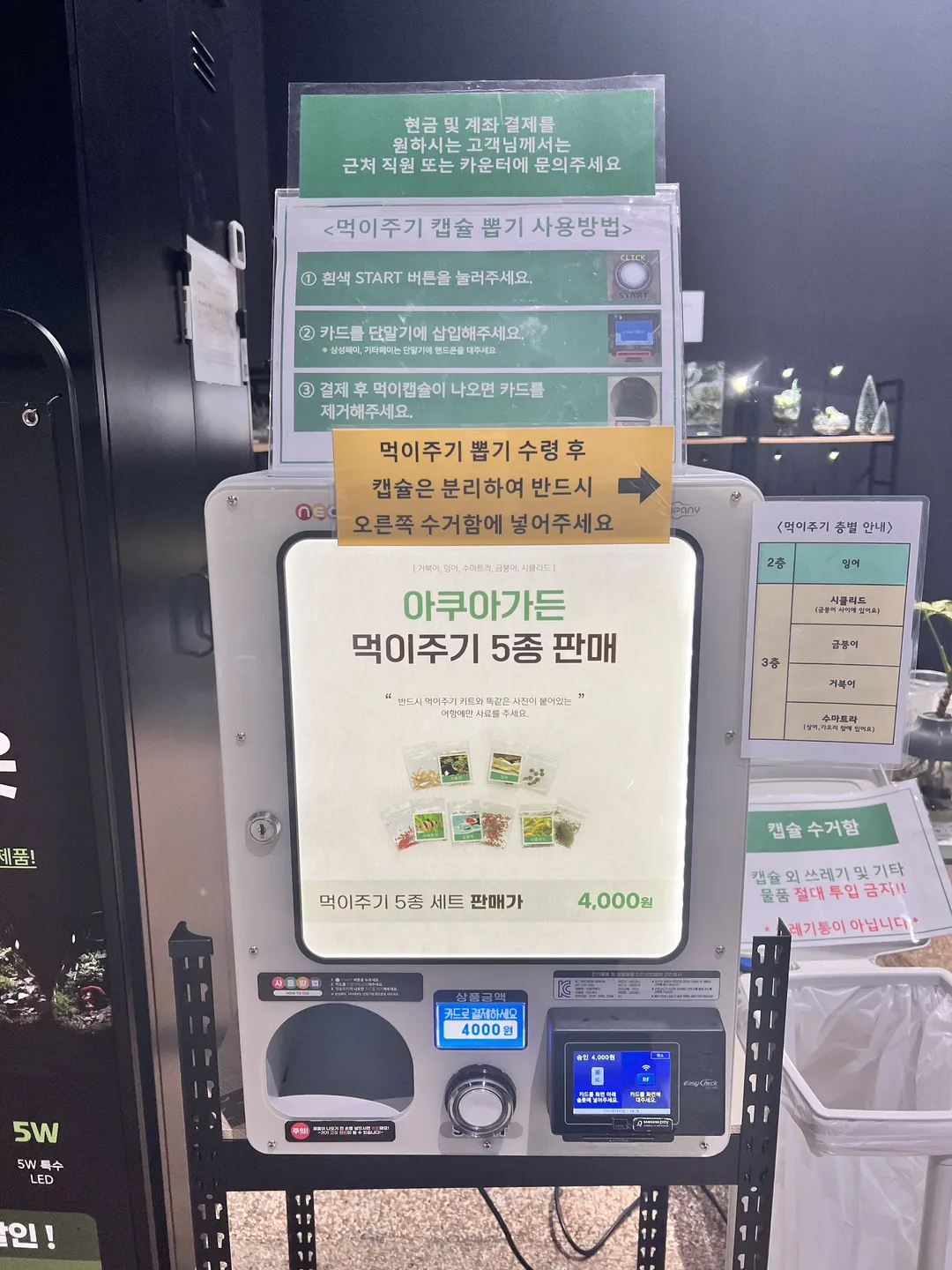 오렌지아쿠아 사진 14