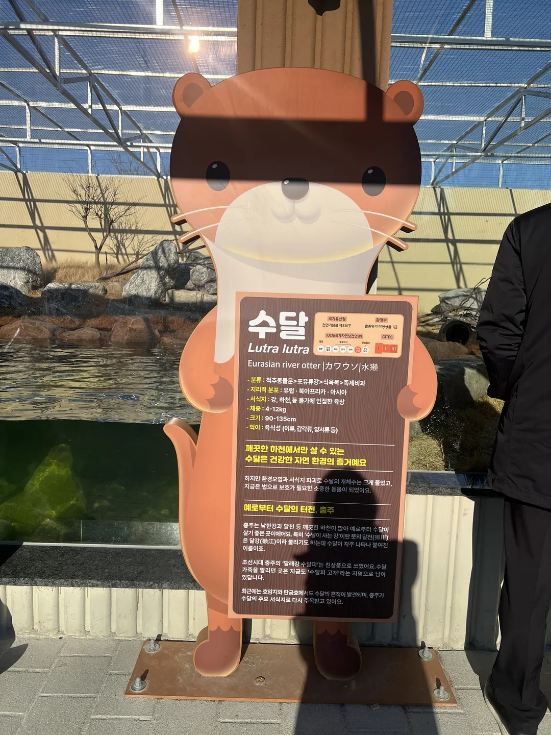 충주아쿠아리움 사진 28