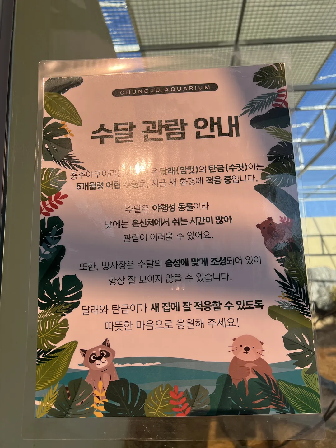 충주아쿠아리움 사진 29