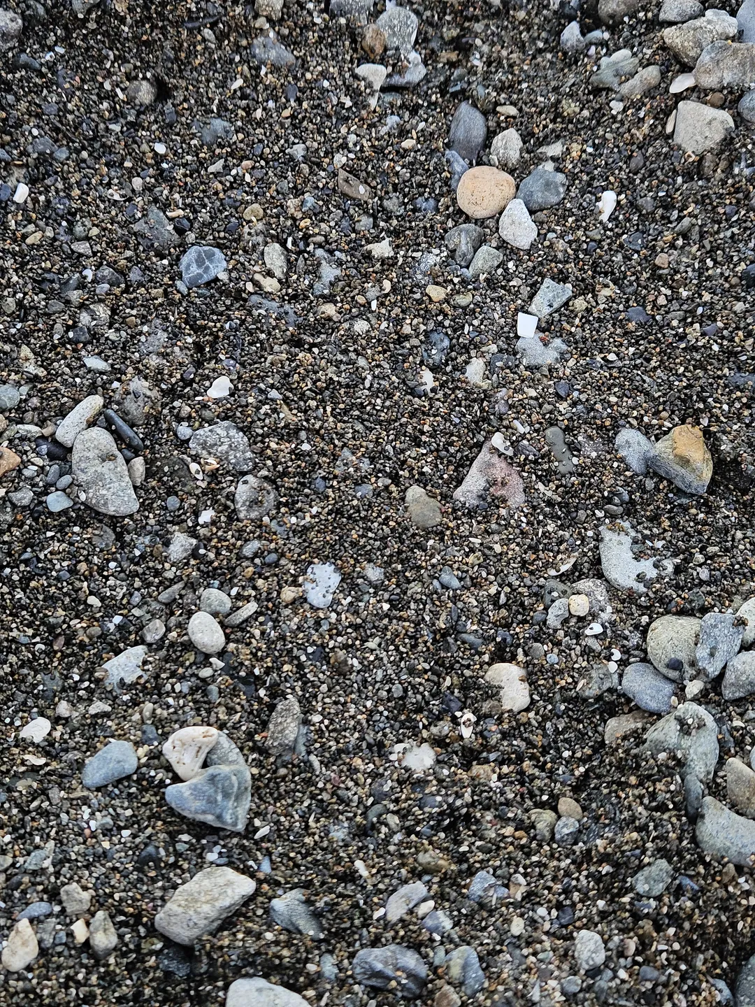 만성리검은모래해변