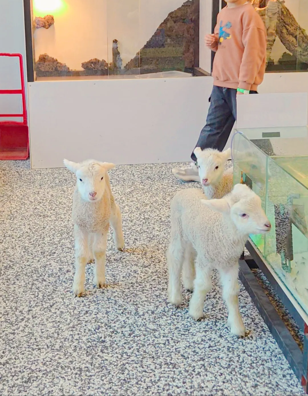 키워볼래&카페 사진 9