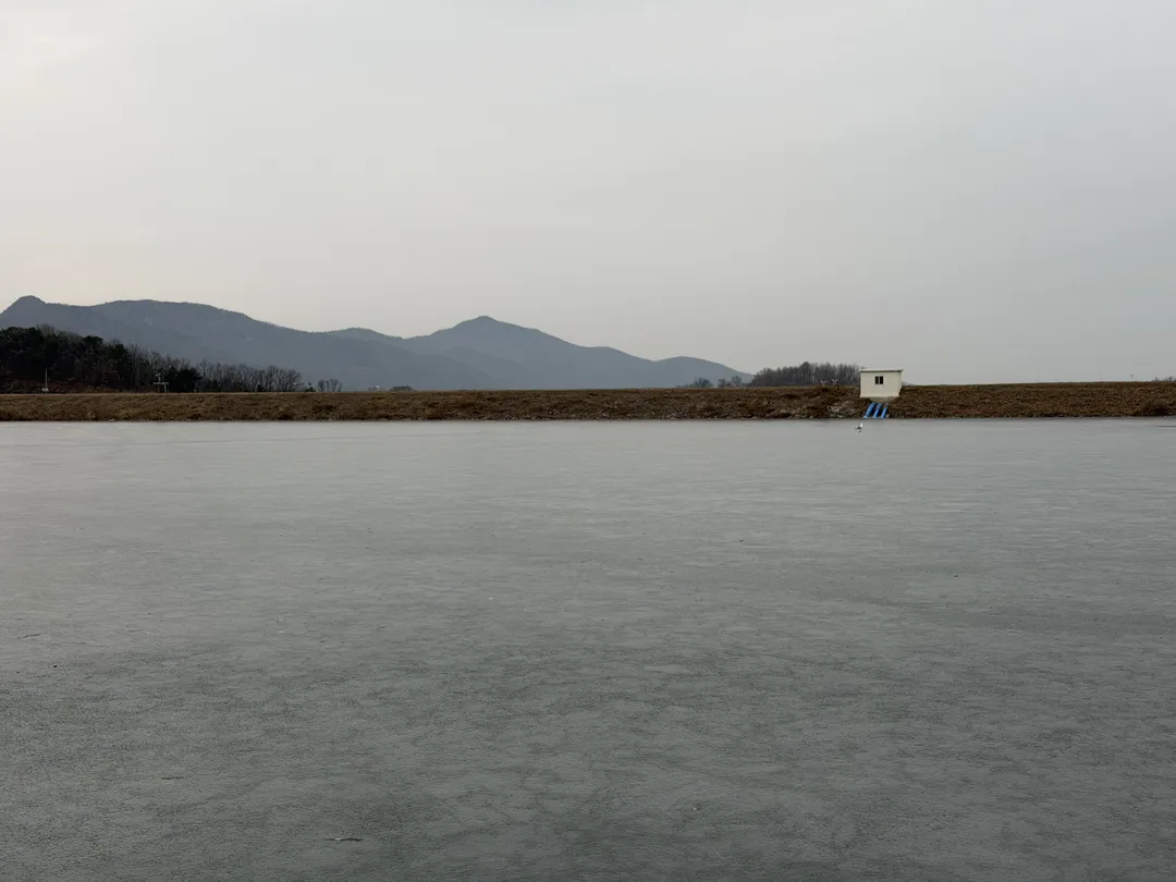 황청낚시터 사진 10