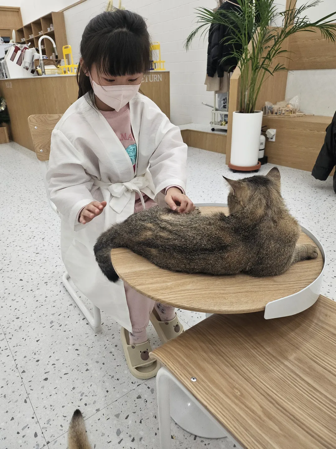 캣플헤븐 일산탄현점