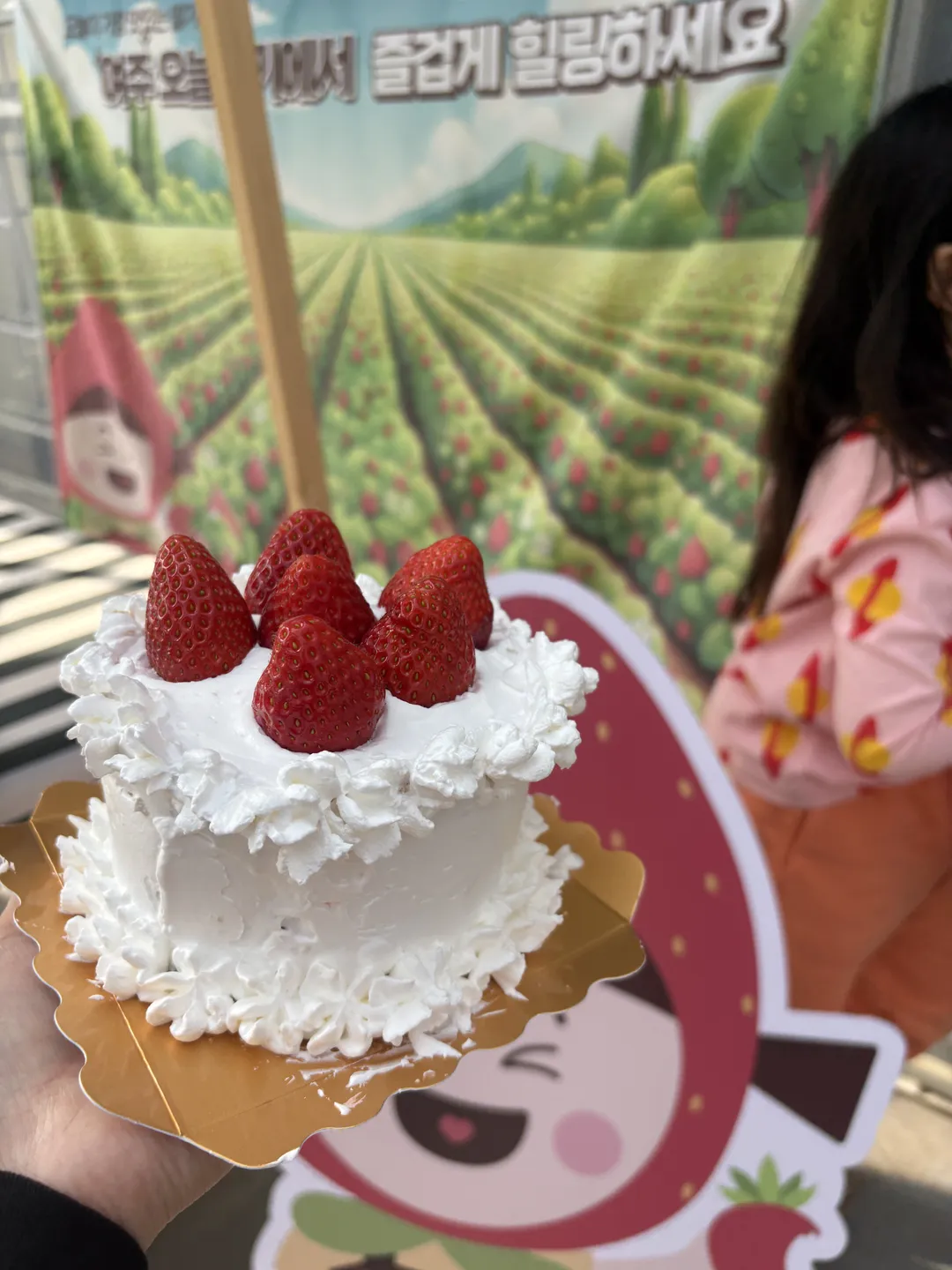여주 오늘딸기 사진 6