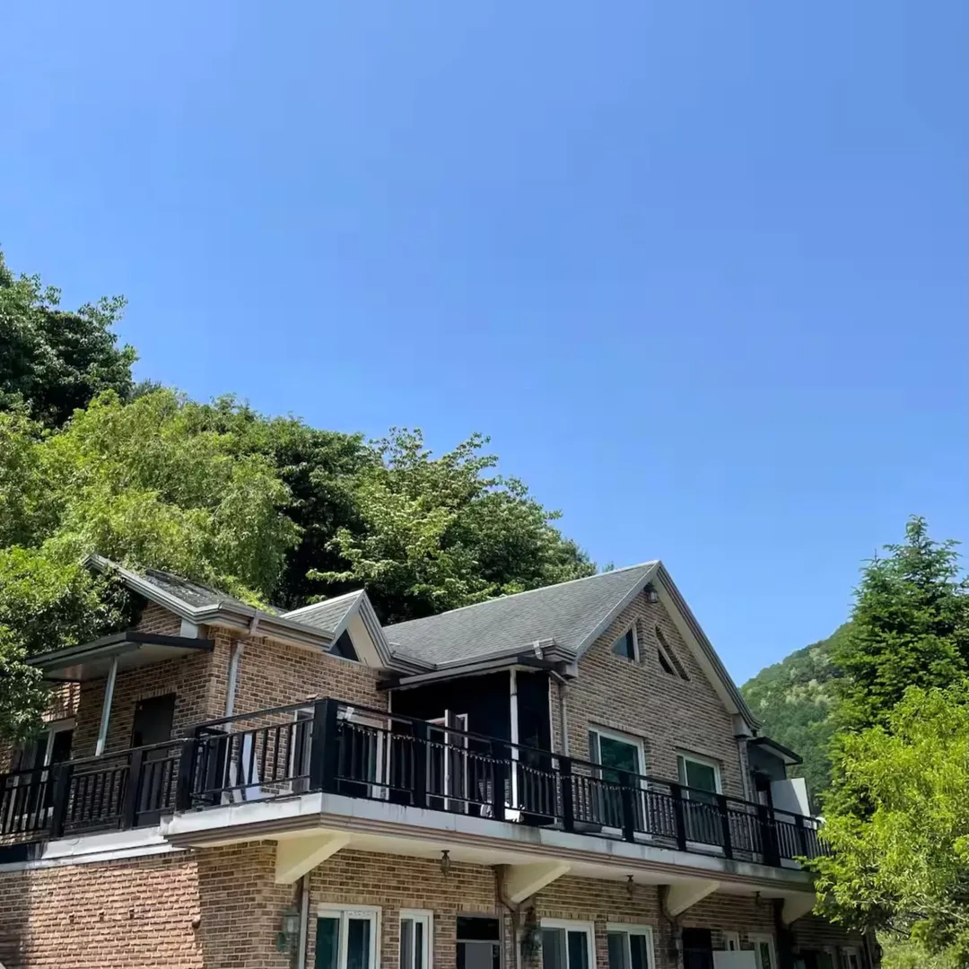 피노포레 사진 19