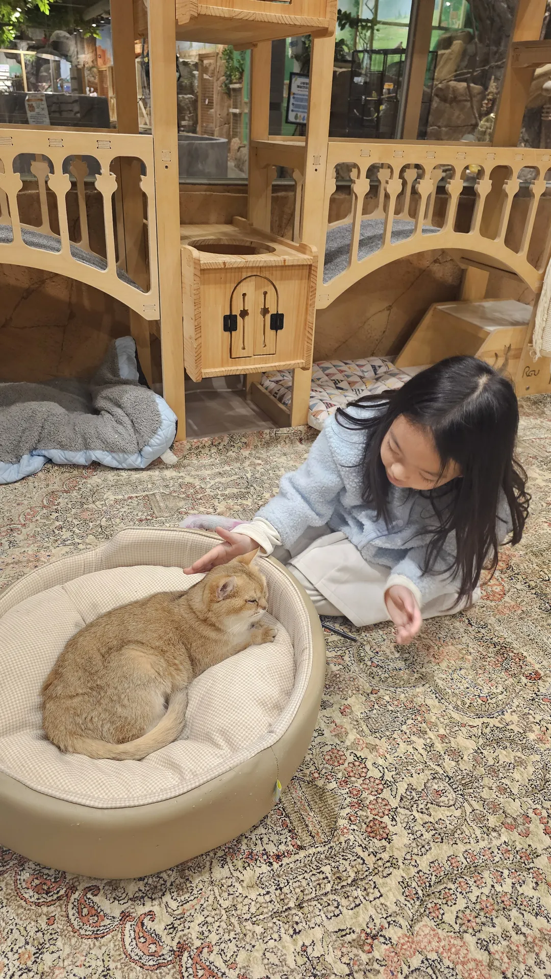 ジュジュピングワールド 写真 13