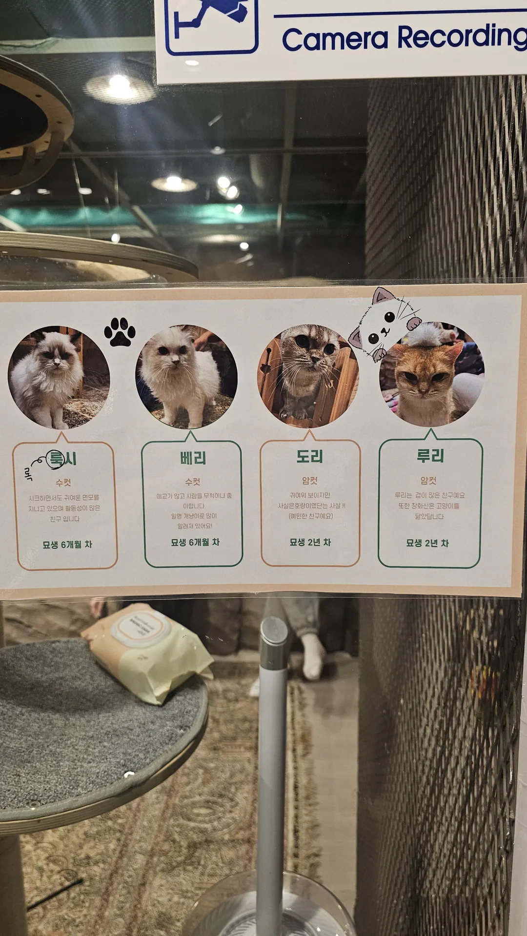 ジュジュピングワールド 写真 15