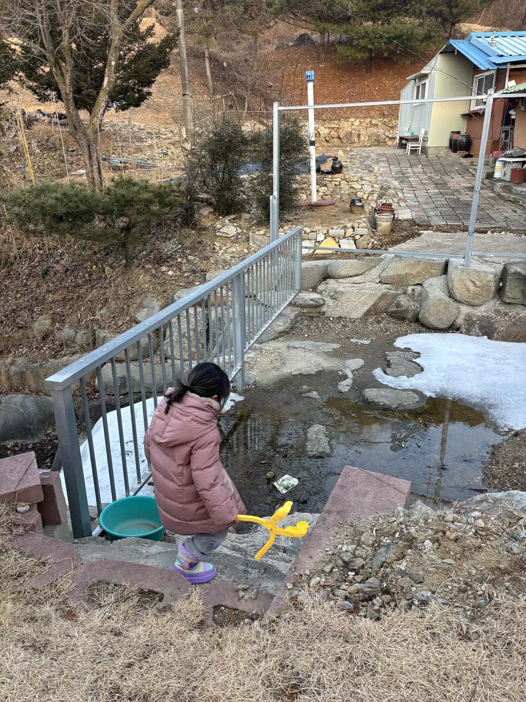 숲속애 사진 12
