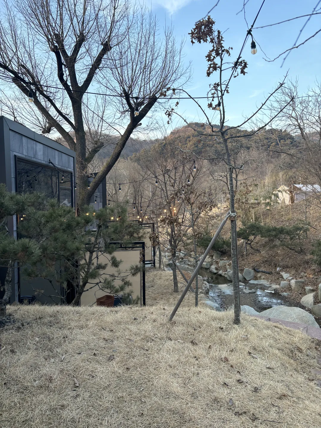 숲속애 사진 14
