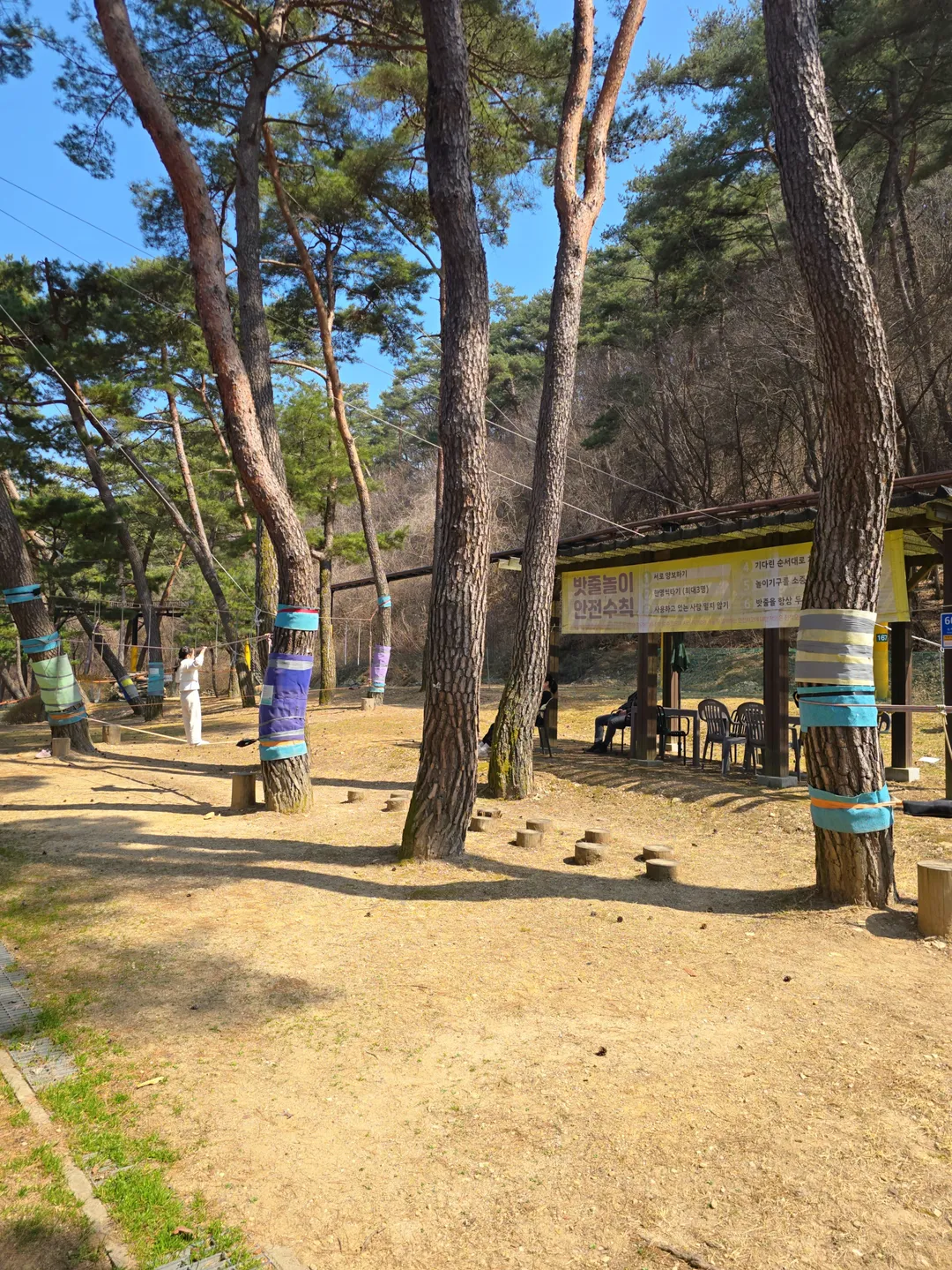 솔향공원 사진 7