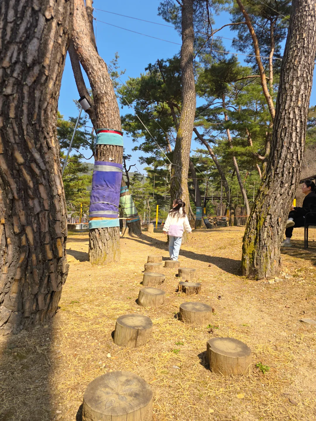 솔향공원