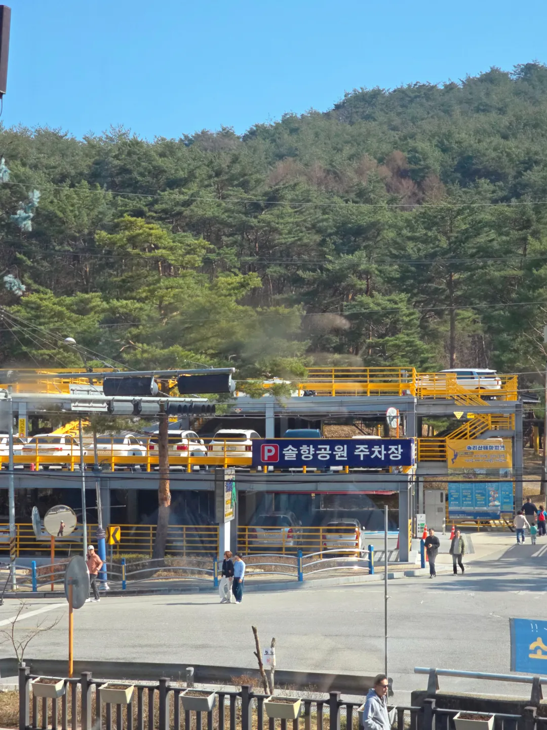 솔향공원 사진 13