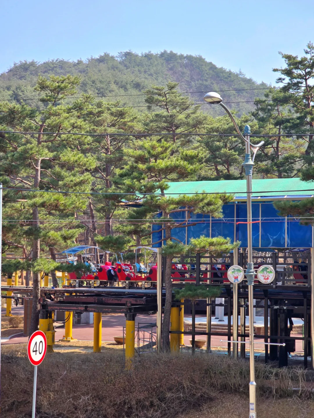 솔향공원 사진 6