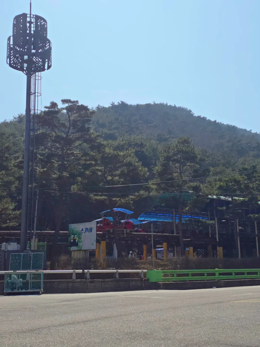 솔향공원 사진 12