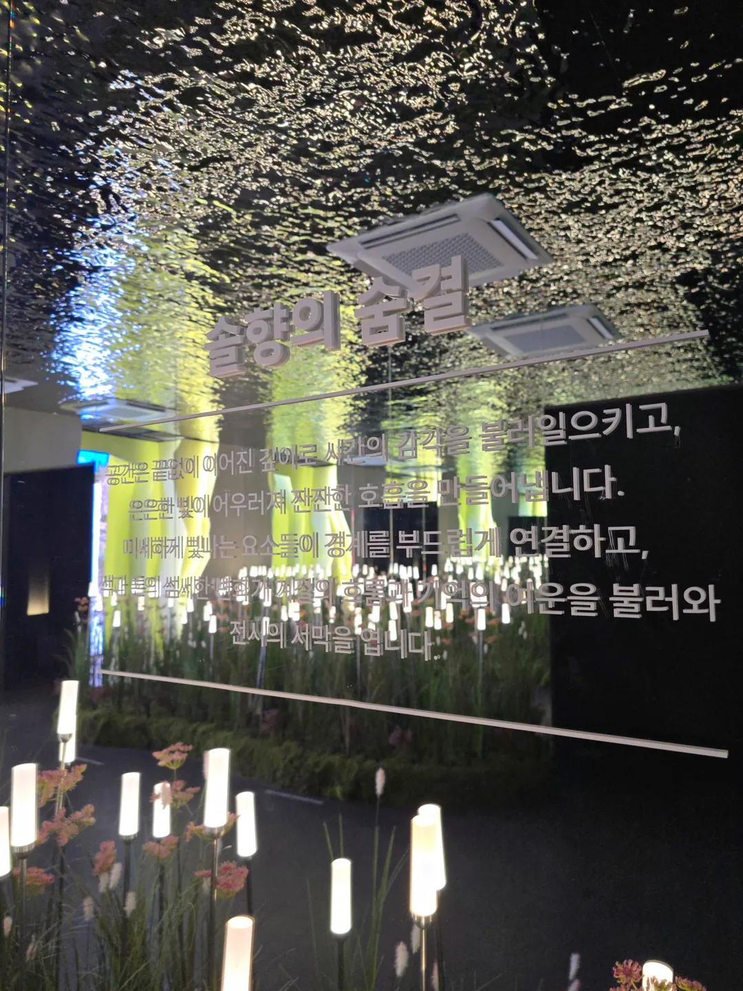 소나무미디어숲 사진 8